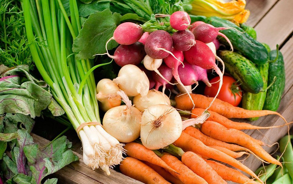 Estimulantes vegetales
