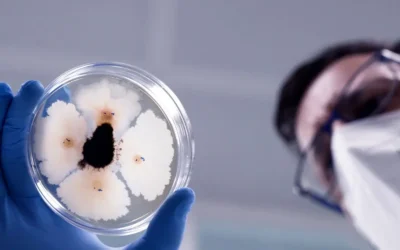 Transferencia tecnológica a partir de investigación básica