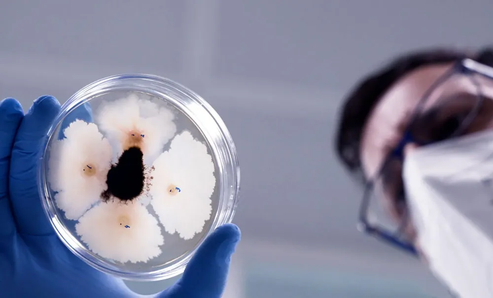 Activos biológicos previamente caracterizados