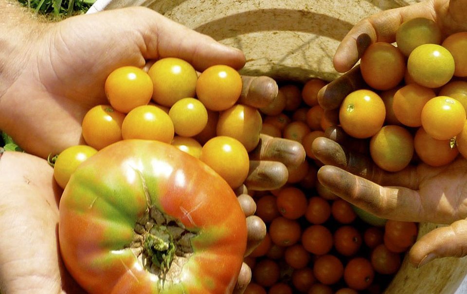 Agrotecnologías Naturales