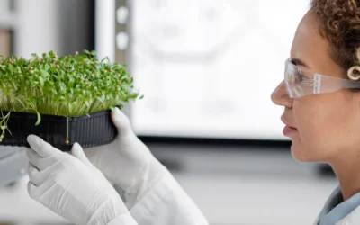 La importancia de la normalización de los productos bioestimulantes