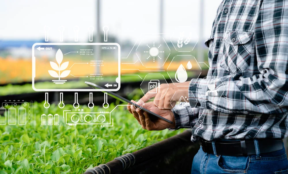 Analizando datos sobre el cultivo de hortícolas