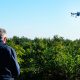 Aplicaciones con dron agrícola