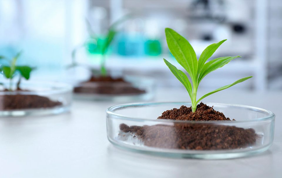 Artal Smart Agriculture