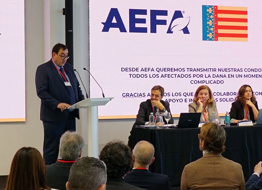 Asamblea General de AEFA