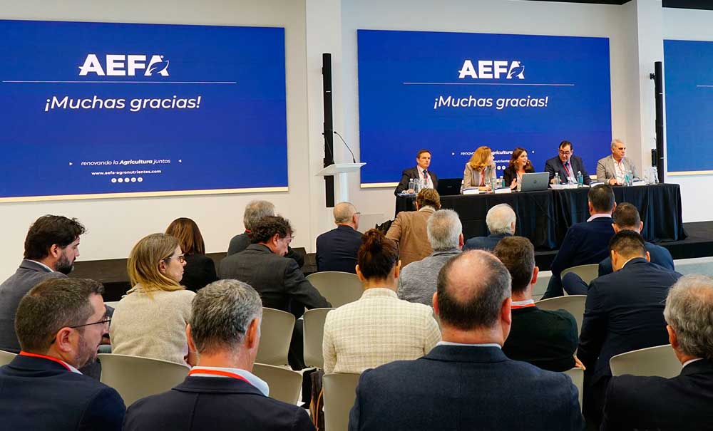 Asamblea general de AEFA en noviembre de 2024