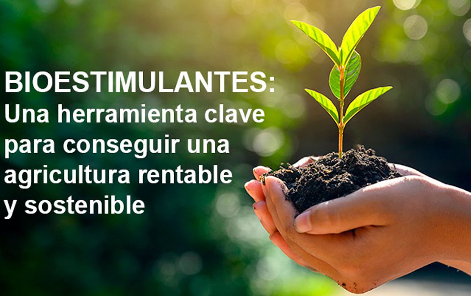 Los bioestimulantes como fertilización eficiente y sostenible