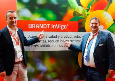 BRANDT