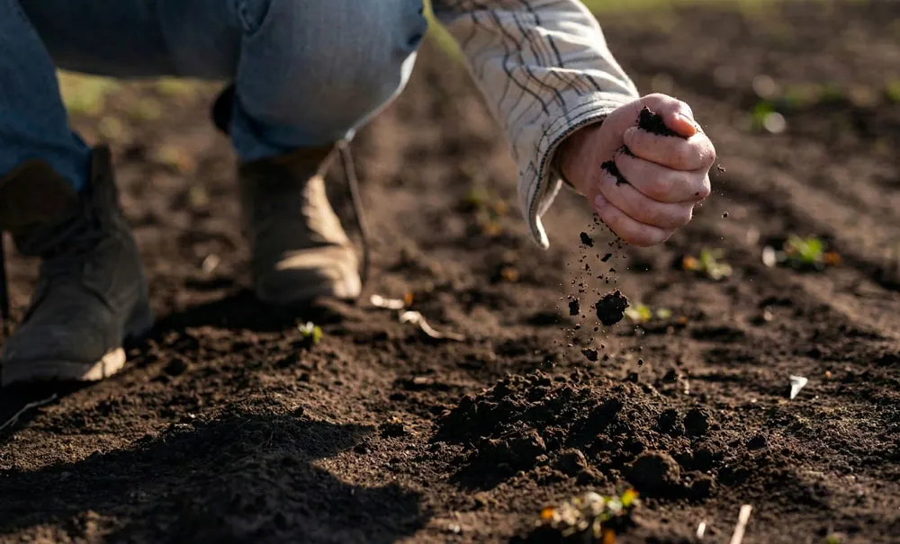 Nueva Directiva de Vigilancia y Resiliencia del Suelo