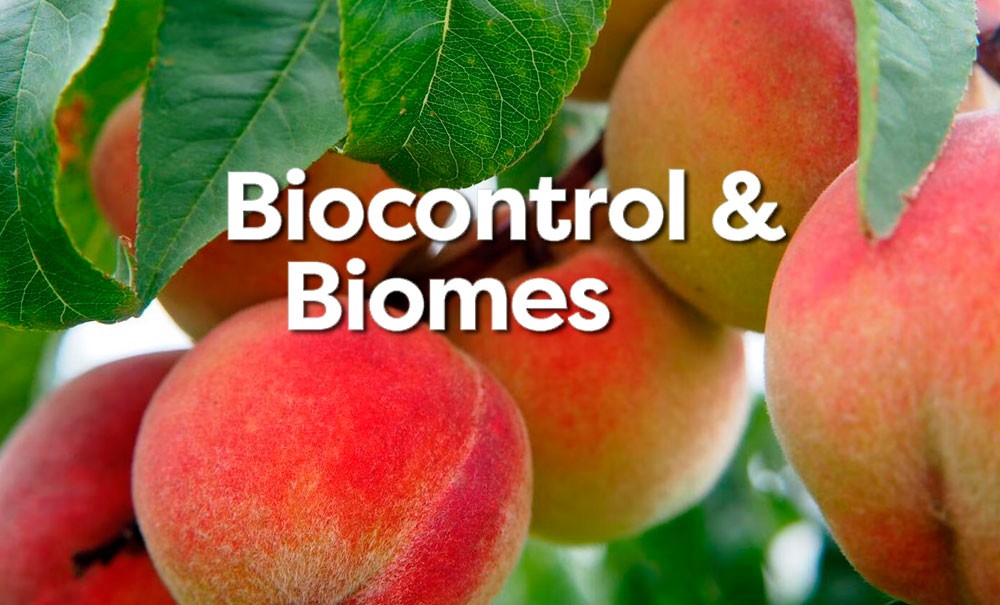 Biocontrol & Biomes