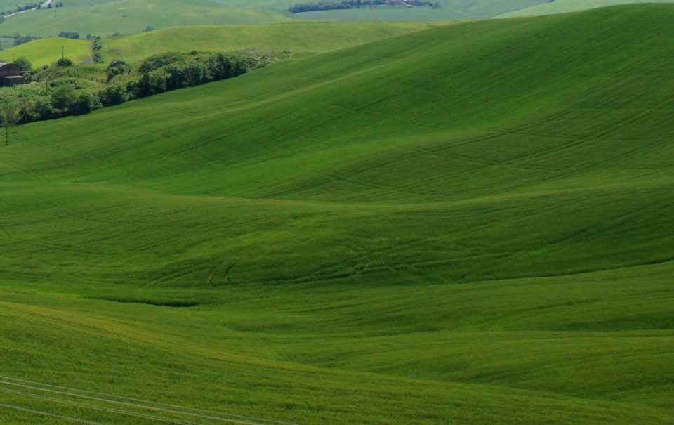 Los agronutrientes y bioestimulantes agrícolas
