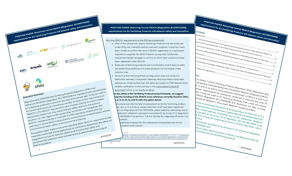Position Paper REACH +de EBIC