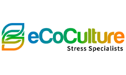 eCoCulture