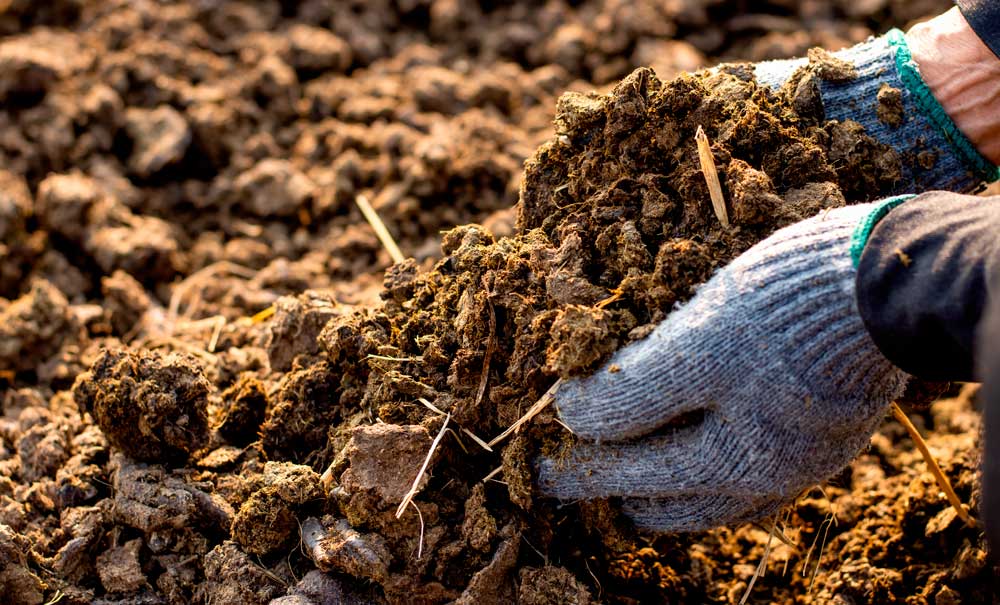 Enmienda orgánica para el campo