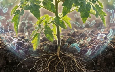 El concepto holobionte