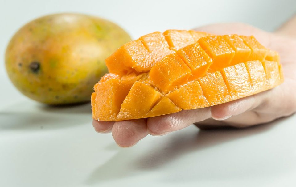 Seguridad alimentaria: retos y tendencias