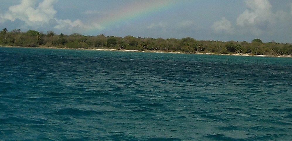 Fertilizar el mar