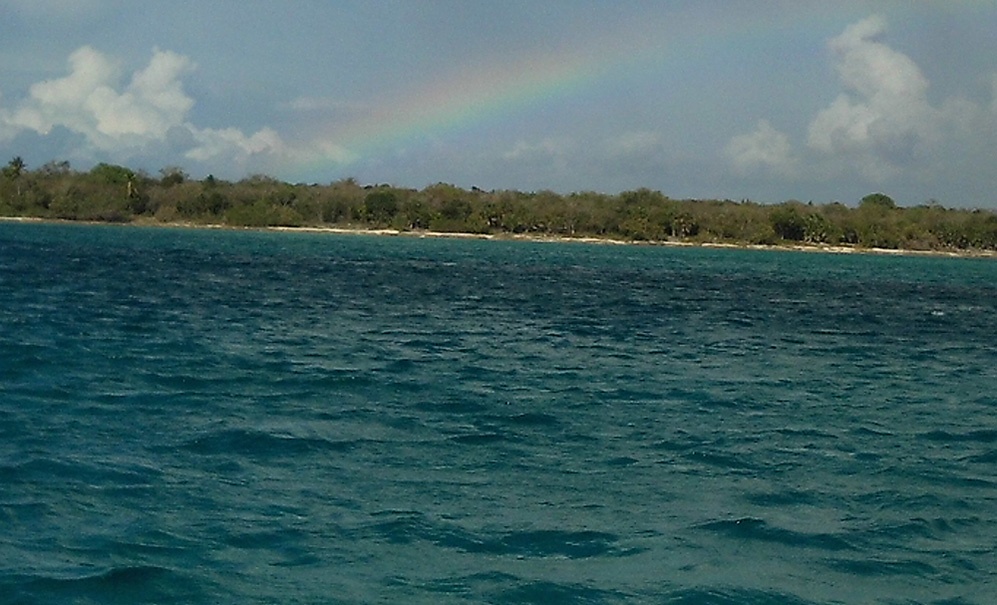 Fertilizar el mar