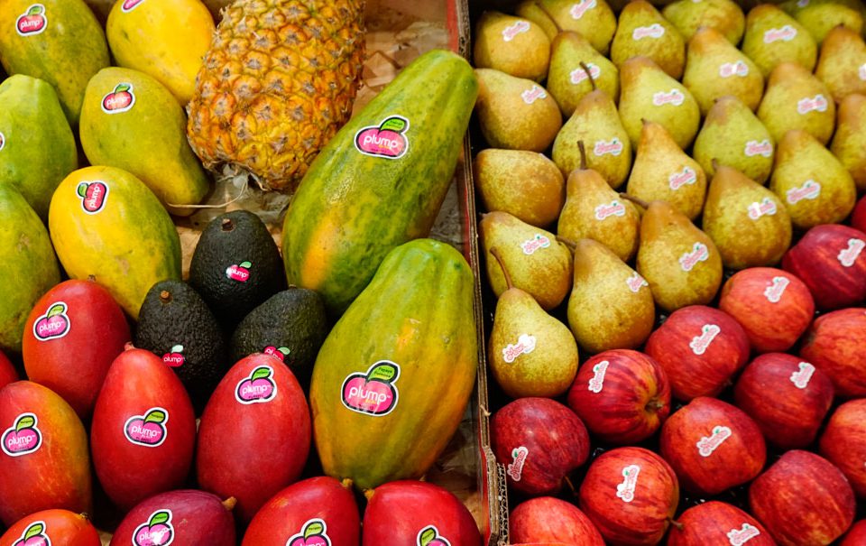 Frutas y hortalizas del mundo