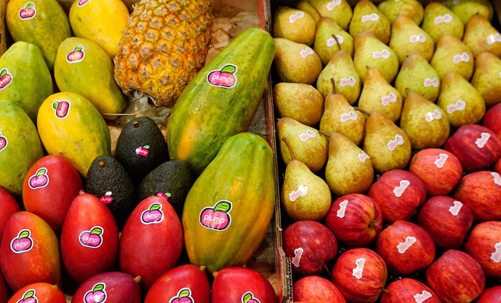 Frutas y hortalizas del mundo