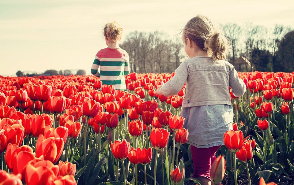 Sobre el futuro Reglamento UE de Fertilizantes