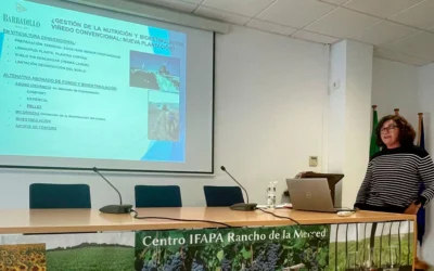 Jornada del Proyecto SEAWINES