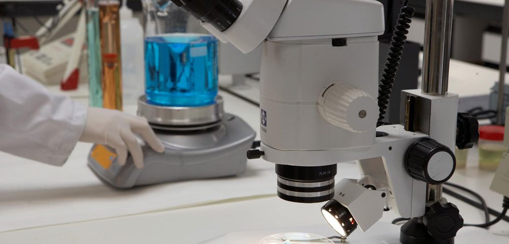 Materias primas para fertilizantes