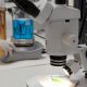 Materias primas para fertilizantes