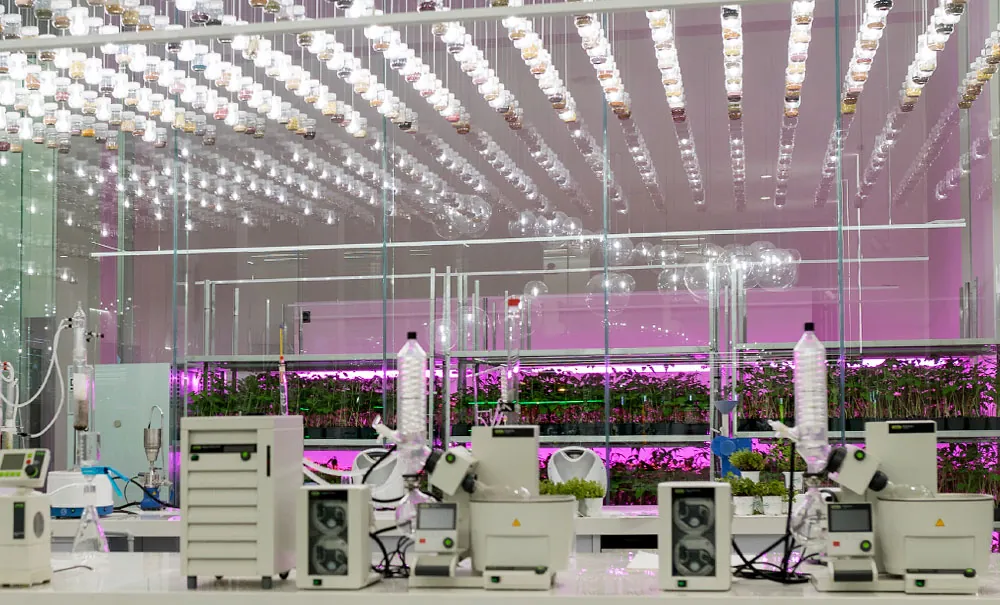 Laboratorios de Kimitec