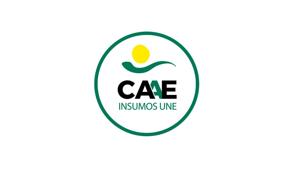 Logotipo CAAE para normativas de insumos UNE