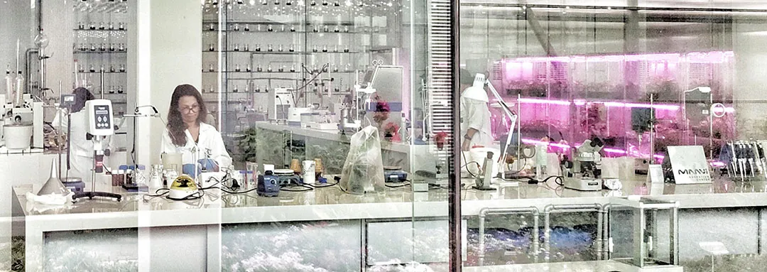 Los laboratorios de Kimitec