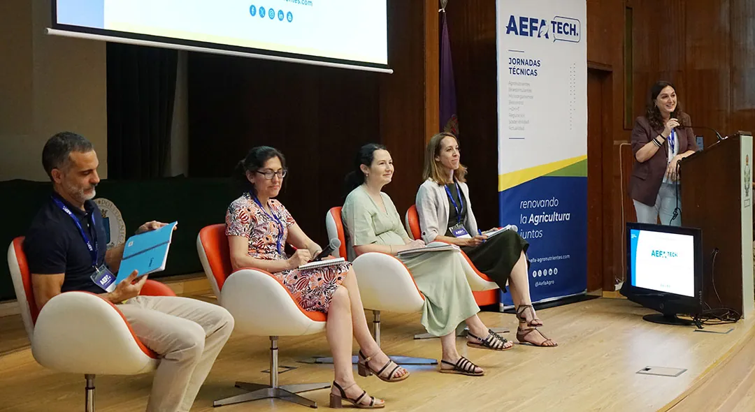 Mesa redonda AEFA Tech 2026