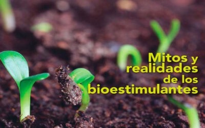 Mitos y realidades de los bioestimulantes