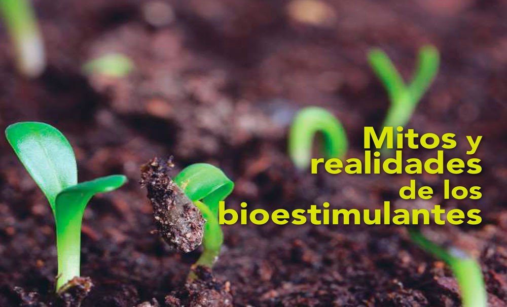 Mitos y realidad de los productos bioestimulantes