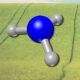 Molécula de amoníaco como fertilizante