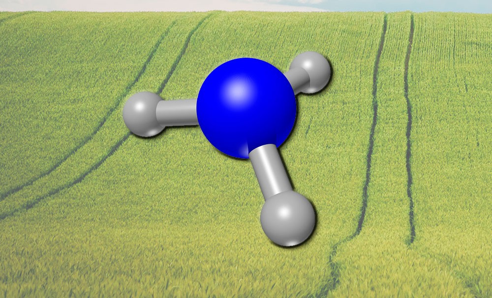 Molécula de amoníaco como fertilizante