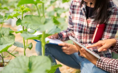 El RD 934/2025 ajusta la normativa de nutrición sostenible del suelo