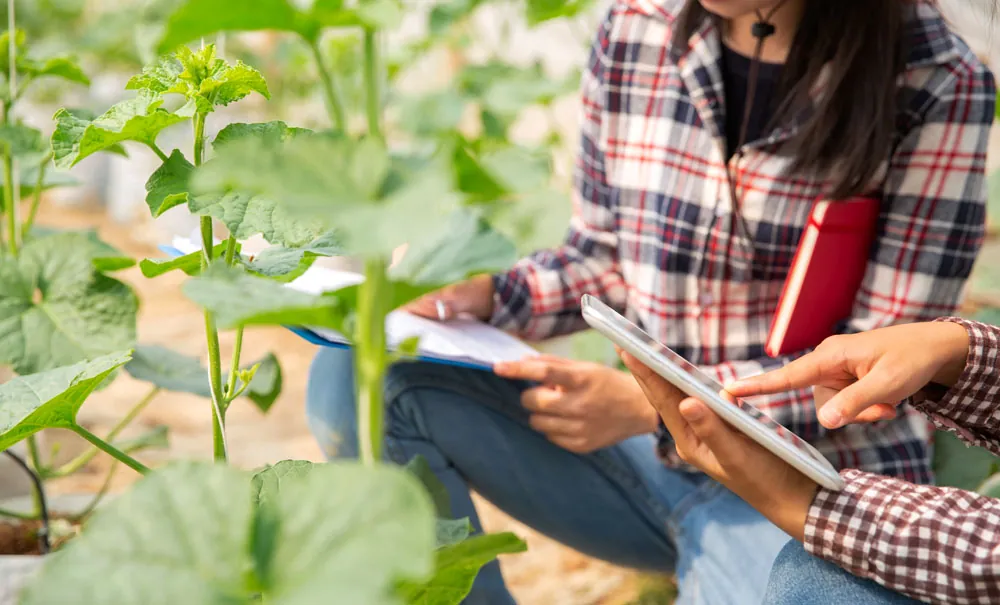 Normativas aplicadas a los cultivos