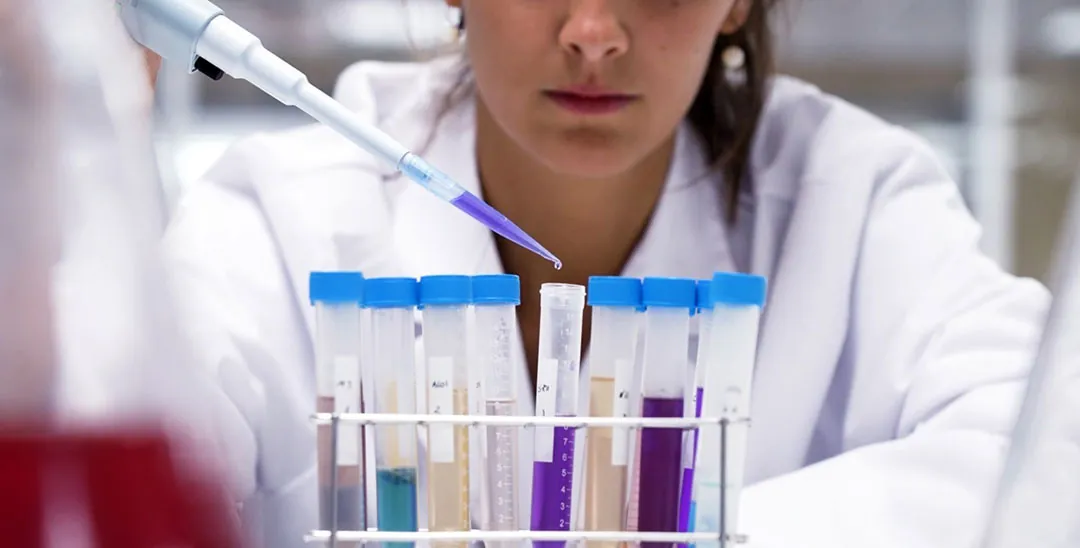 El proceso de bioprospección