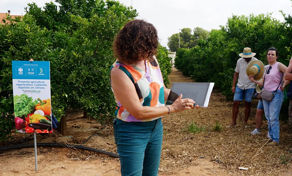 Proyecto agricultura regenerativa con cubiertas vegetales
