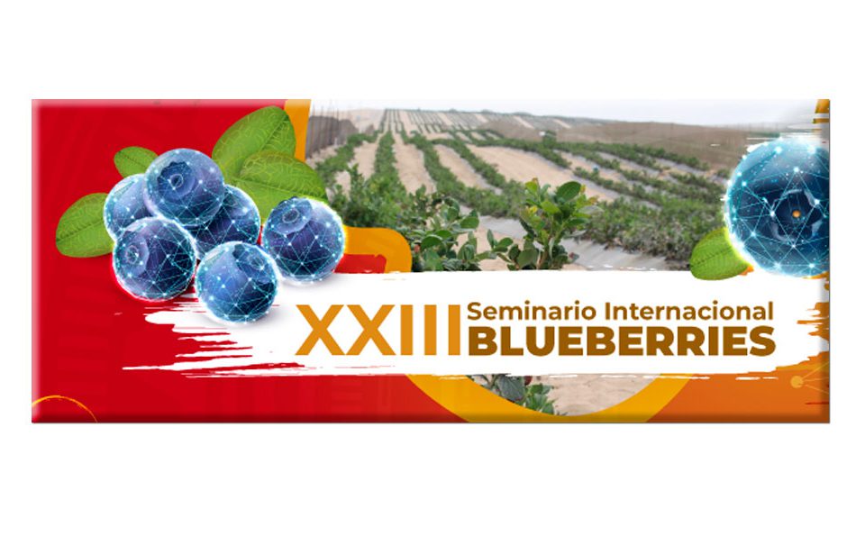 Seminarios Internacionales Blueberries