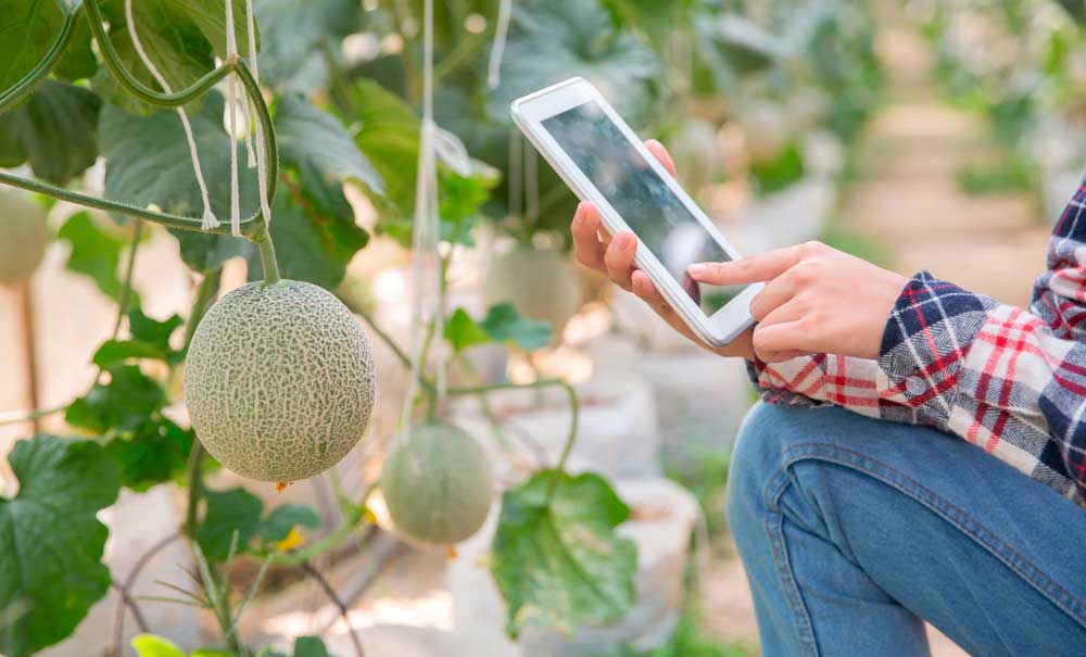 Técnico agrícola de empresas de AEFA